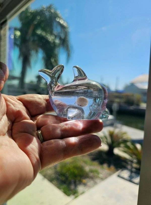 Mama's Memory Dolphin